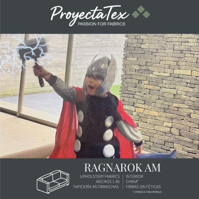 PROYECTATEX - RAGNAROK AM