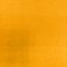 293 MUSTARD