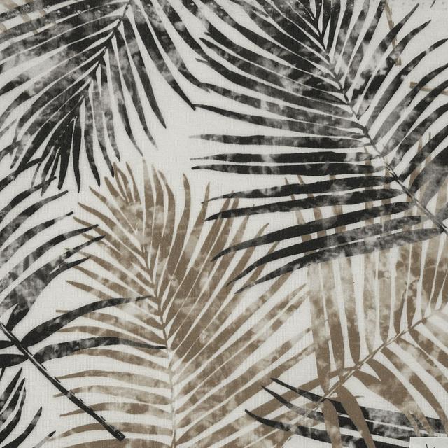 KENTIA OUTDOOR