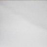 100 WHITE